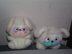 ポジとネガ
